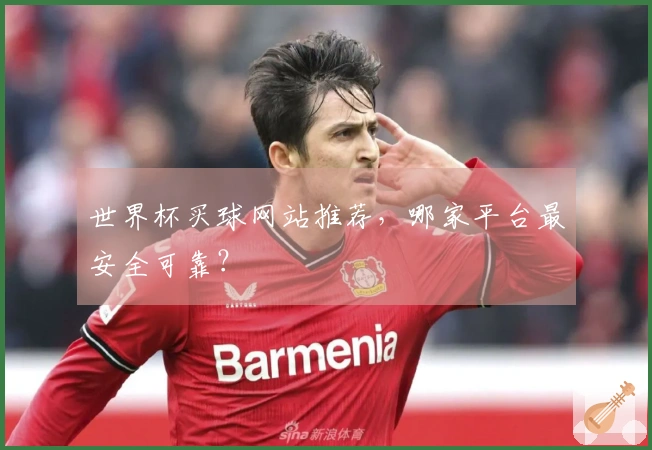 世界杯买球网站推荐，哪家平台最安全可靠？