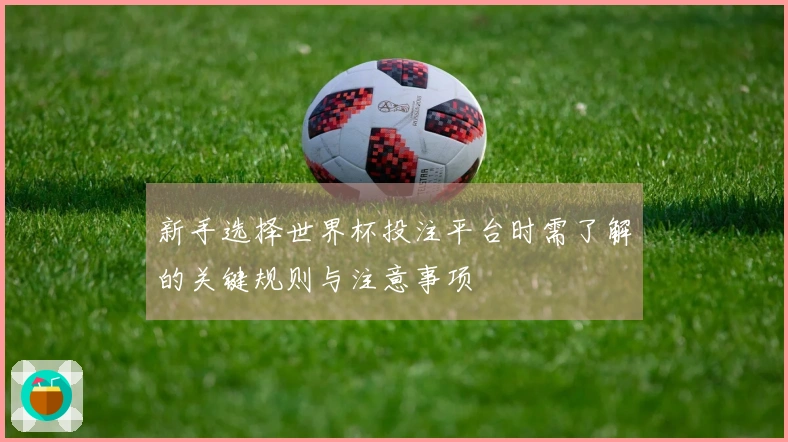 新手选择世界杯投注平台时需了解的关键规则与注意事项
