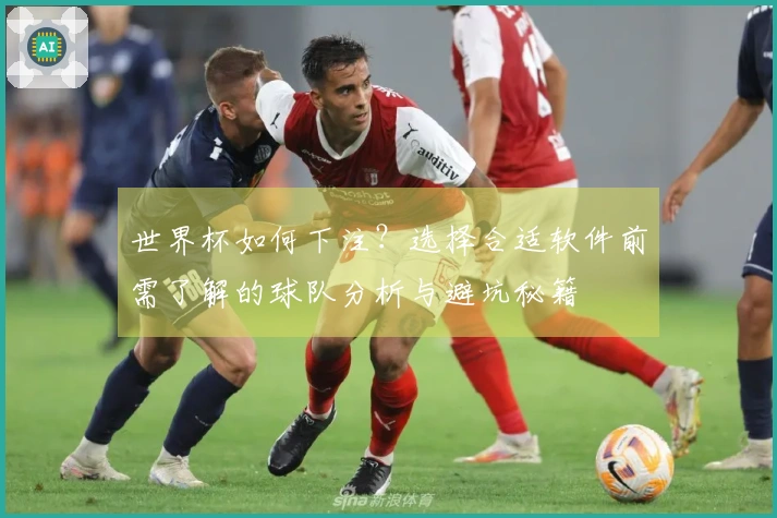 世界杯如何下注？选择合适软件前需了解的球队分析与避坑秘籍