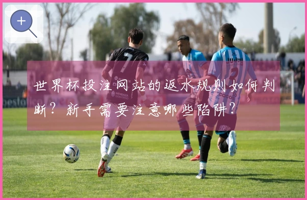 世界杯投注网站的返水规则如何判断？新手需要注意哪些陷阱？