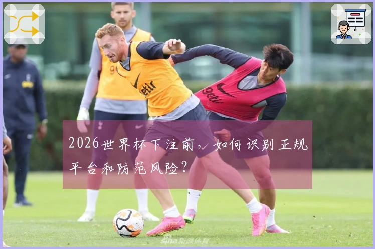 2026世界杯下注前，如何识别正规平台和防范风险？