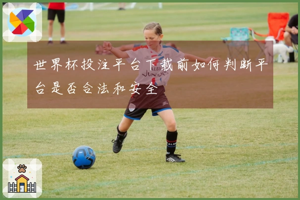 世界杯投注平台下载前如何判断平台是否合法和安全