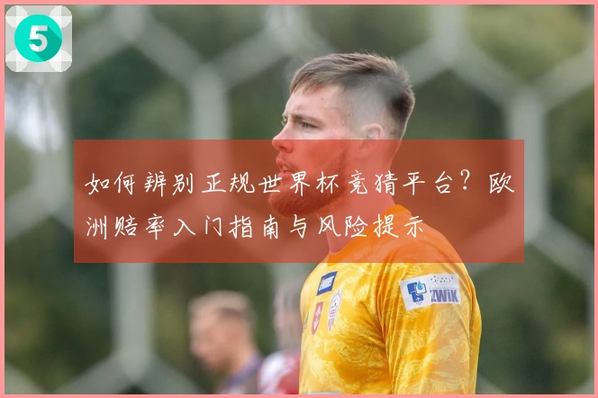 如何辨别正规世界杯竞猜平台？欧洲赔率入门指南与风险提示