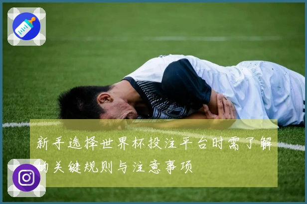 新手选择世界杯投注平台时需了解的关键规则与注意事项